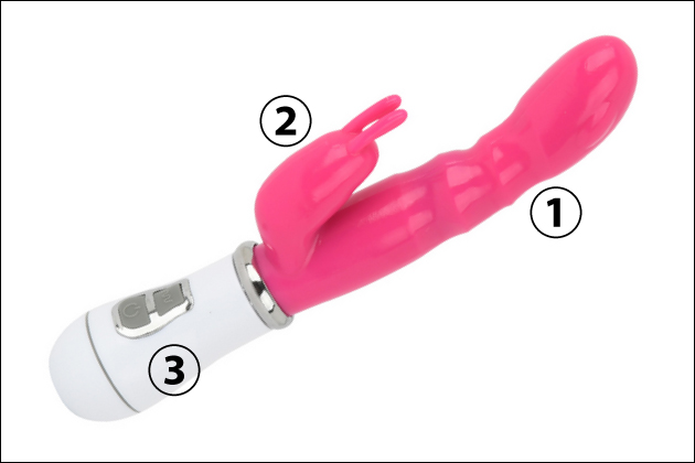 �o�C�u���[�^�[�̊�b�m���I���߂Ďg���J�b�v�����m��ׂ��o�C�u�̊�{